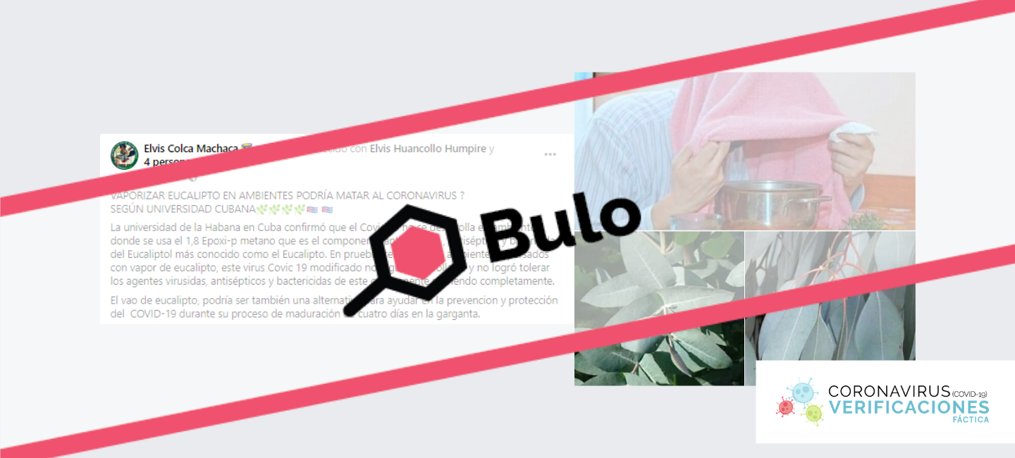 eucalipto-web