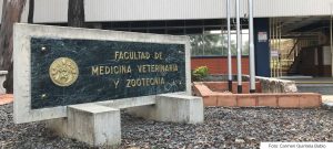 ExalumnasVeterinariaUSAC-AgenciaOCote