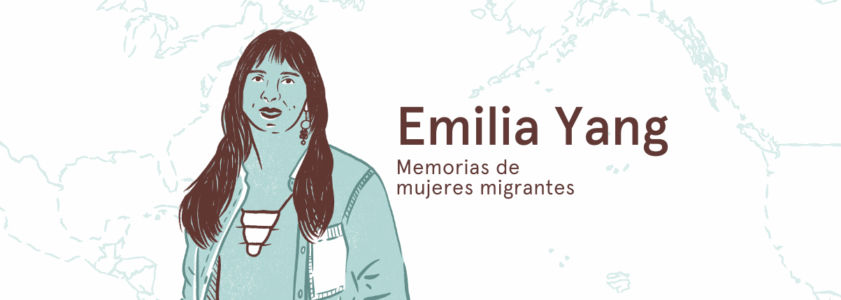 Ir y Venir_Página Web Agencia Ocote y La Revuelta Emilia Yang