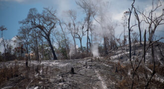 Sierra del Lacandón, Petén 18