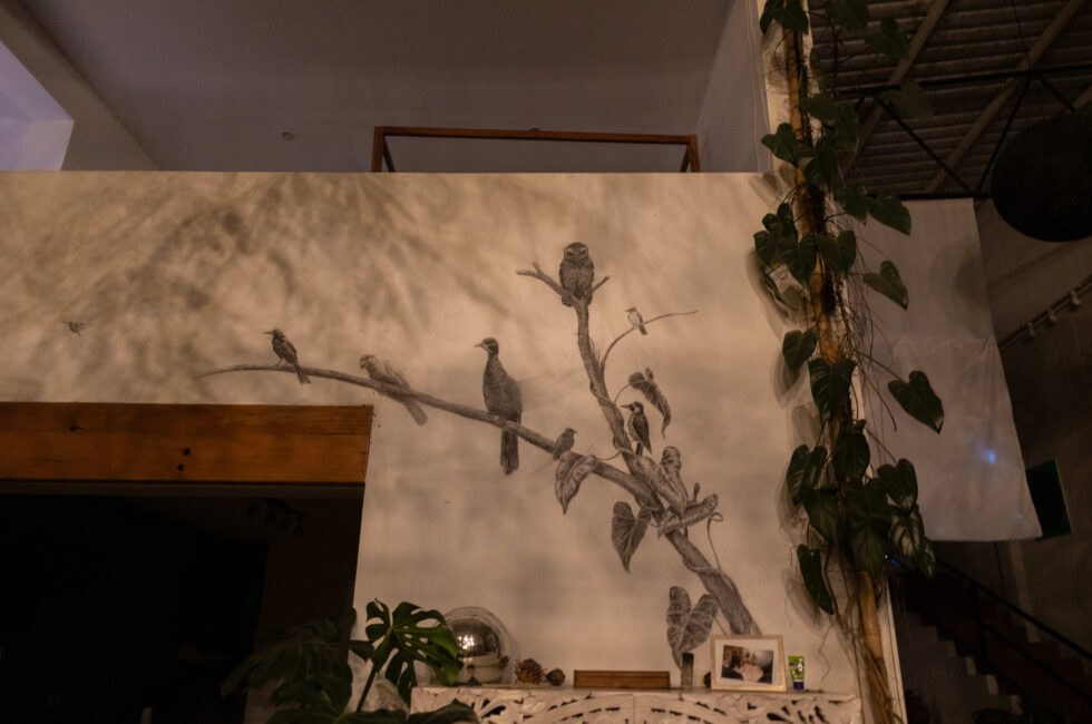 Casa guardabarranco 21