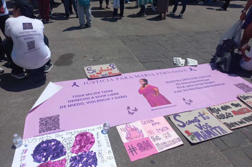Justicia Maria Fernanda copia