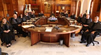 Organismo Judicial3