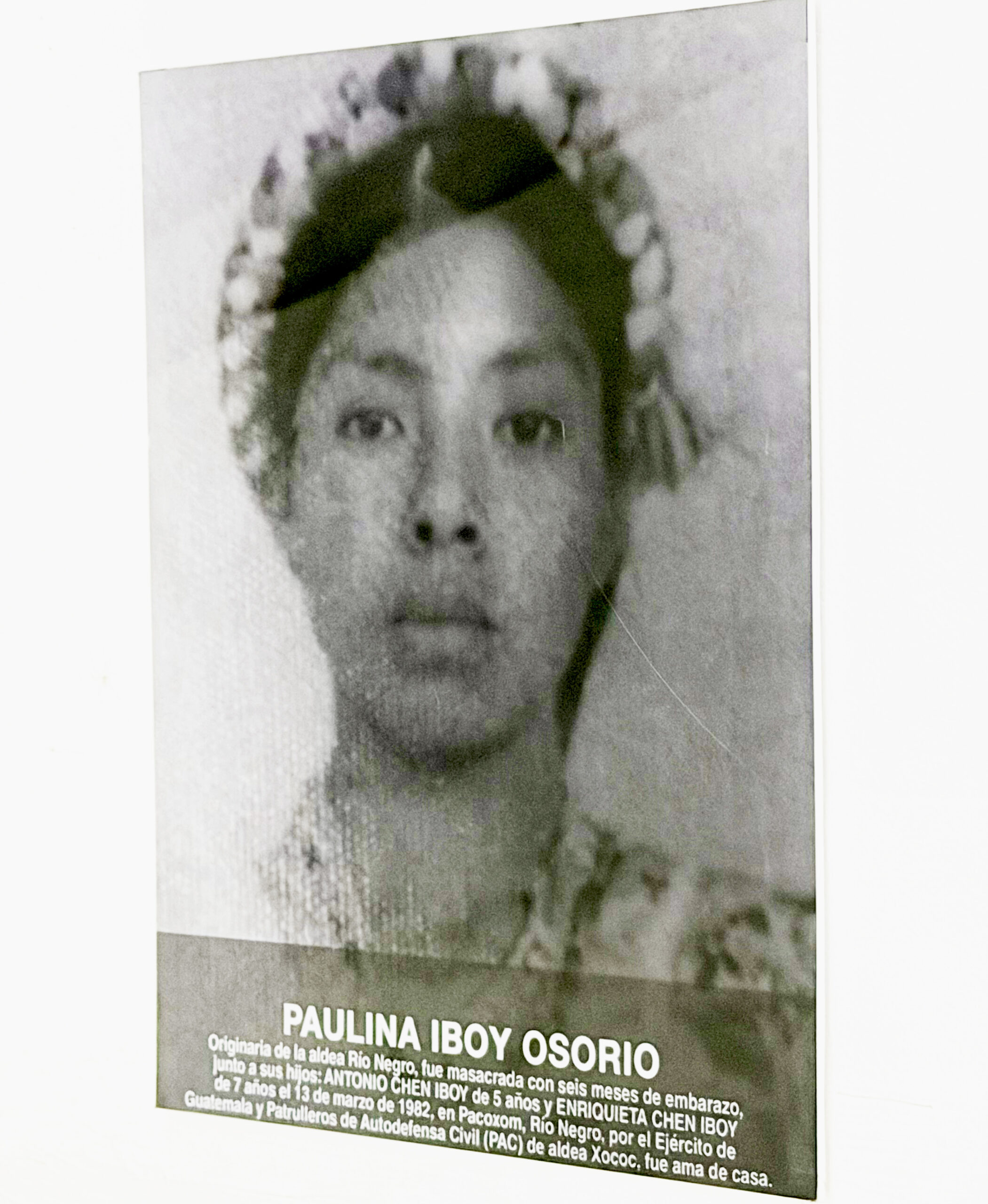 Paulina Iboy