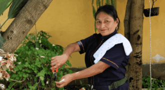 Cooperativa Servicuidado y limpieza