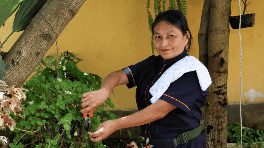 Cooperativa Servicuidado y limpieza