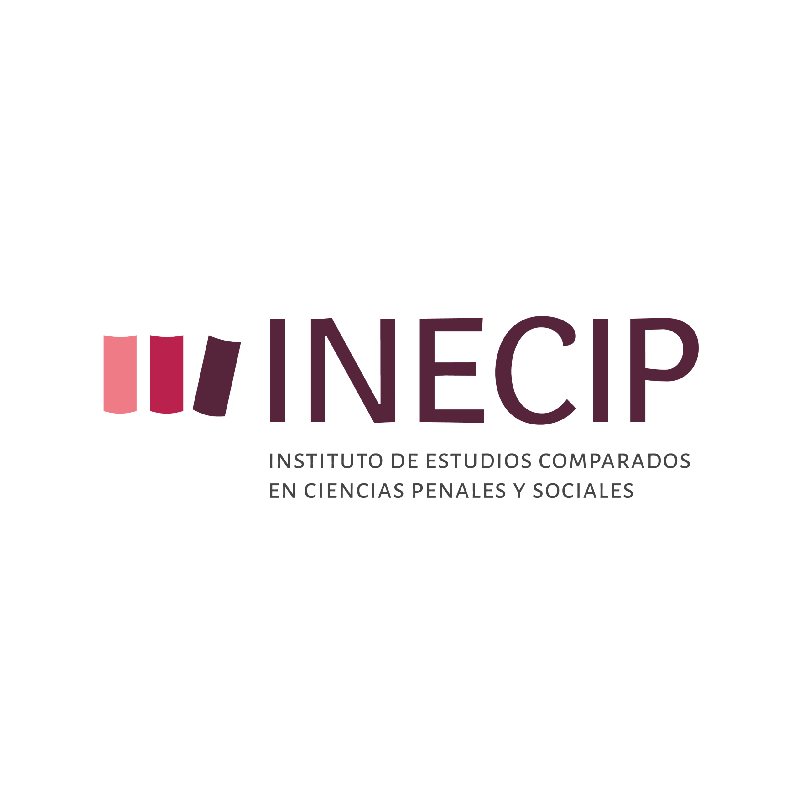 INECIP 1x1