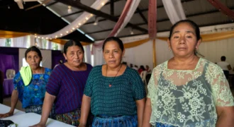 Mamá Maquín 11