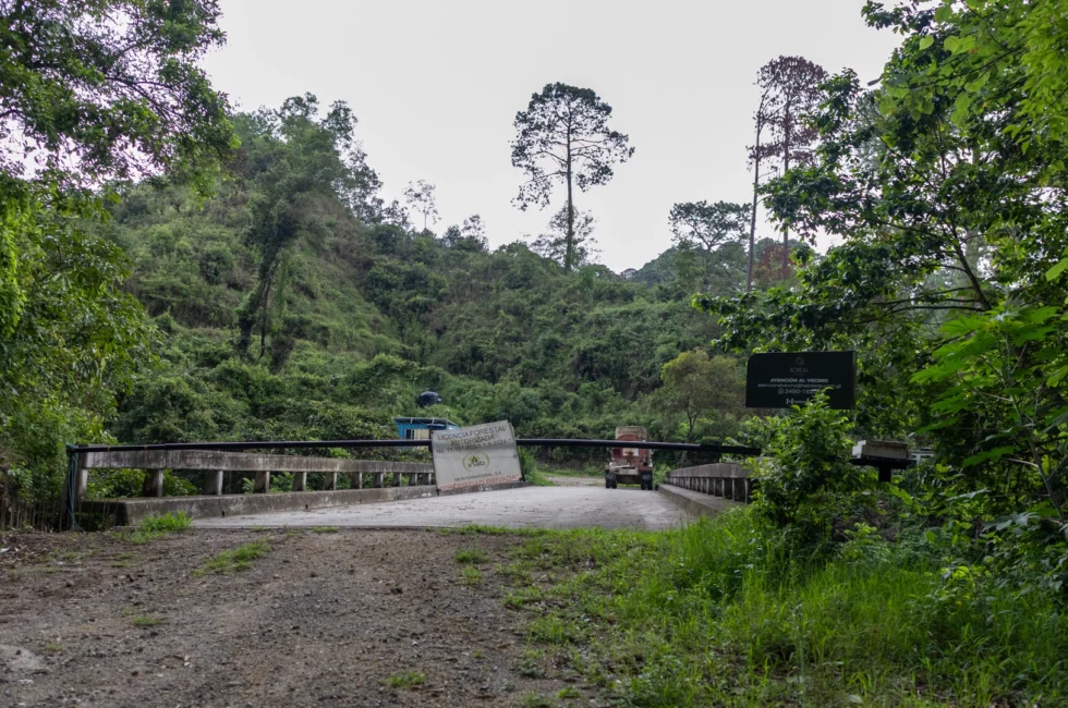 20260609-ParqueKanajuyú-CG11