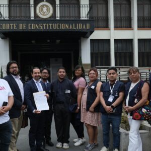 Lambda presenta inconstitucionalidad