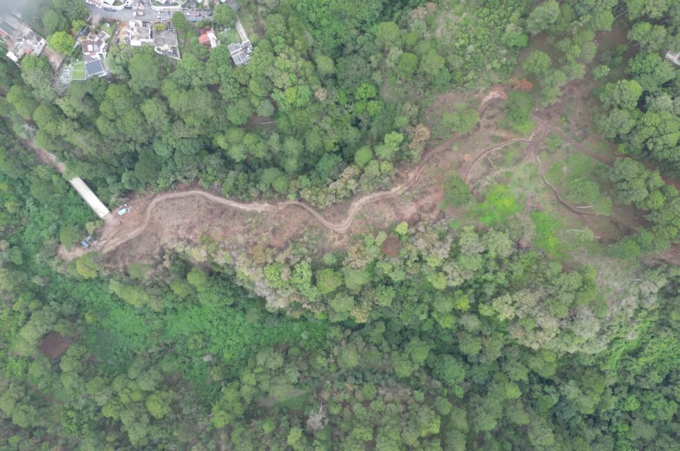 Foto Dron área de tala