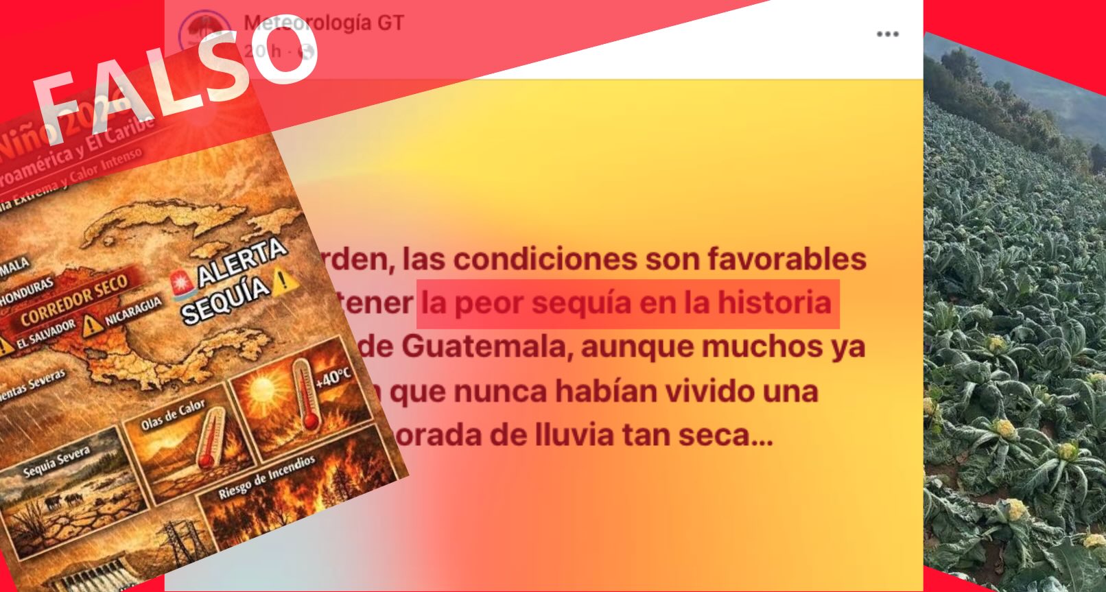 falso la peor sequía en la historia de Guatemala