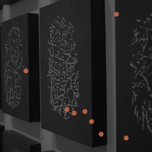 Banner-ULPE-Paulina Velásquez