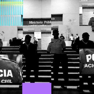 Datos diferenciados MP y PNC