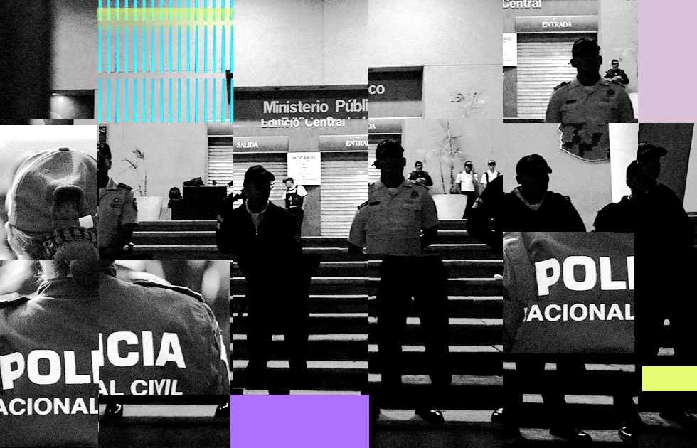 Datos diferenciados MP y PNC