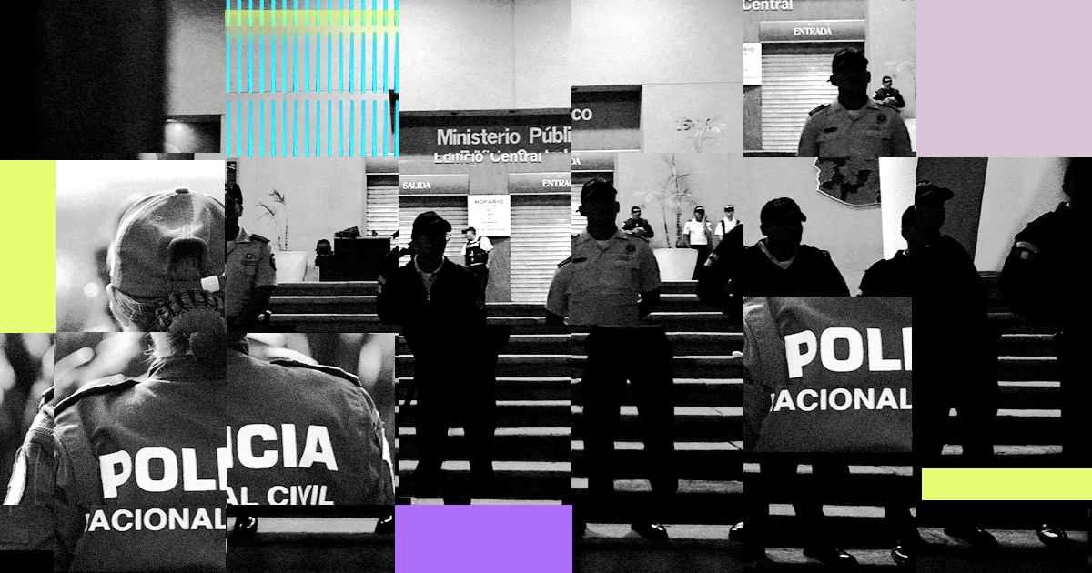 Datos diferenciados MP y PNC